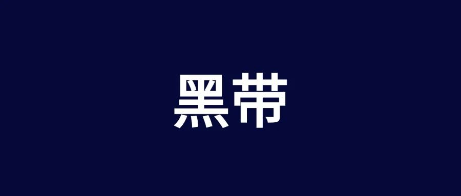 6个月逆袭黑带！这套学习路线太狠太全面了！